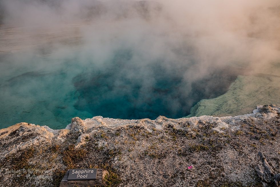 What Colors Do You See? Brianna Lambert